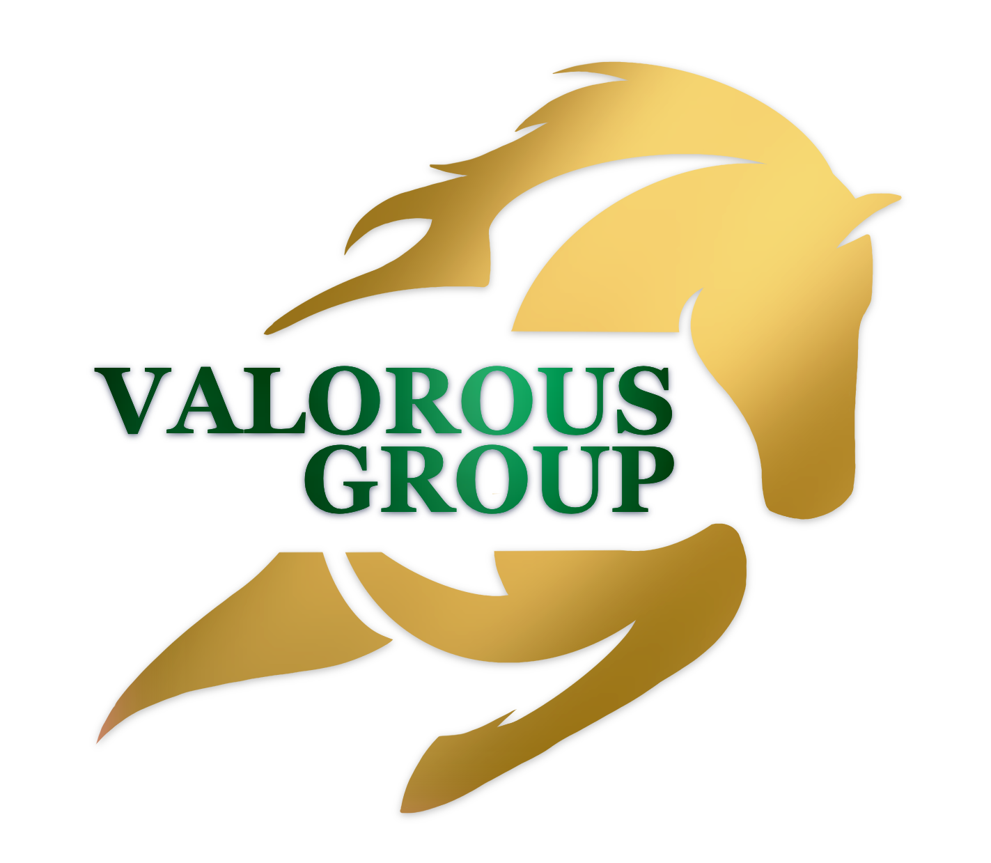 Valorous Group Inc